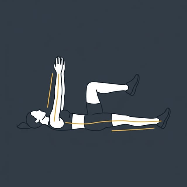 Dead Bug illustration